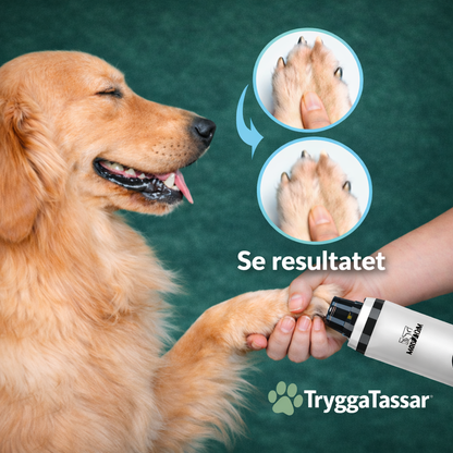 TryggaTassar™ – Den trygga vägen till välklippta klor