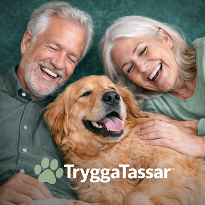 TryggaTassar™ – Den trygga vägen till välklippta klor